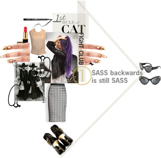 CatFightClubtumblr_o65wutanAd1rvmfuqo1_540